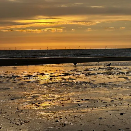 Bed and breakfast Zoute Zeelucht 3*