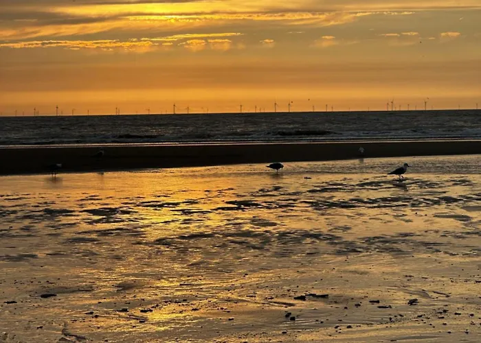 Panzió Zoute Zeelucht 3*